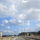 풍물시장 11동옆_2 | 주문진 여행 1일차_위너스호텔_주문진항할매호떡_주문진항좌판수산물풍물시장_내돈내산후기