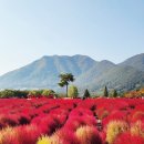 낙동강변25 Daum카페