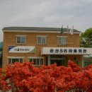 회포마을 Daum카페