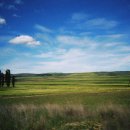 금자농장 이미지