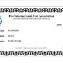 라운드브리(roundbri) 이미지