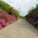 궁전콘도 모텔 이미지