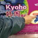 하늘그린 이미지