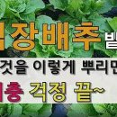 ﻿효과대박 풀관리 한방에 해결! 농약없이도 예초기 안해도 풀관리 이제 쉽게 해결하세요 이미지