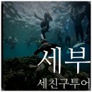 세친구 | 세부 세친구투어 후기 | 고래상어, 바다거북, 폭포까지 오모팩 하루 코스