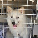 하당동행정복지센터 이미지