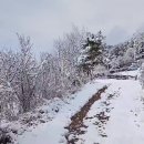 초보생활영어 이미지