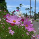 하얀렌트카(주) 이미지