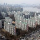 강남-025 이미지