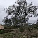 나무in