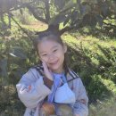 비룡농장 이미지