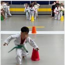 경희대XPL태권도장 이미지