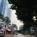 [충정로맛집] 충정로피자가 맛있는 만리재비스트로 별관(중림공장) 방문 후기