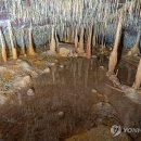 거문오름 용암동굴계 상류동굴군(웃산전굴 북오름굴 대림굴) 이미지