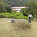 일월이용소 Daum카페
