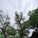 대동농장 | 공주 마곡사