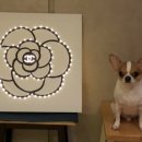 와와리저브 이미지