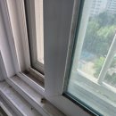 배산인력