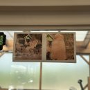 화북카서비스 | 제주 동쪽 숙소추천 | 나만 알고 싶은 제주 정취 가득한 구좌읍 숙소 &#39;초록빛이야기 &#39;