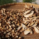 도은농장 이미지