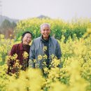 시흥시 치매안심센터(대야신천센터) 이미지