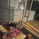 더힐글램핑 이미지