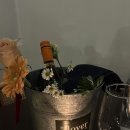 곡성 | 서울 성수동 / 플로리스트의 감각이 닿은 와인바 ‘곡성’ 후기