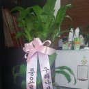지속가능한가정경제연구소