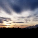 김용우 행정사 이미지