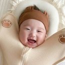 베베곰