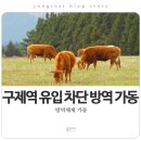 용인가축약품 이미지