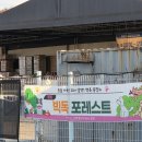 빅독 | [방문후기] 빅독포레스트 유기견 봉사활동 후기(임산부지만 괜찮아!)