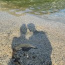 반가반가펜션 이미지