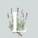 보태니컬 일러스트 이미지