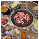 탄천갈매기