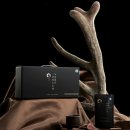 복용농장 이미지