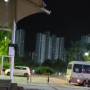 8083골목식당정육점