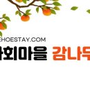 감나무집 민박 이미지