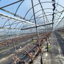 아라농장 이미지