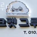 시크펫 그루밍 네이버블로그