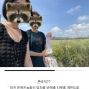 천락 | 러쉬와 함께한 2025 인천 펜타포트 락페스티벌 토요일 후기와 꿀팁