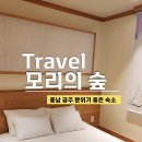 모리숲 | 충남 공주 감성숙소 모리의숲, 공주 가족여행 숙소 추천(2인룸, 5인룸 후기)