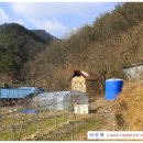 현내리 166 네이버블로그