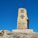 도영공인중개사사무소 이미지