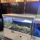 원반월마을회관 | 부천 중동역 마을회관 연탄구이 가족외식, 애견동반 고깃집 추천