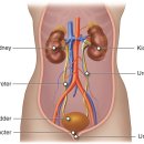 안비뇨기과의원 이미지
