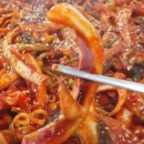 생생오징어 이미지