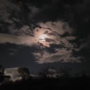 승모농장 이미지