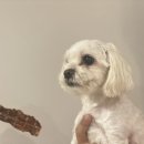 한결동물병원 이미지