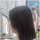 살롱드580